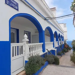 Palmeras Los Realejos
